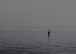 Took This In The Morning